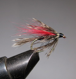 ���� ������ Wet fly 